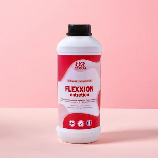 Flexxion Entretien Rekor