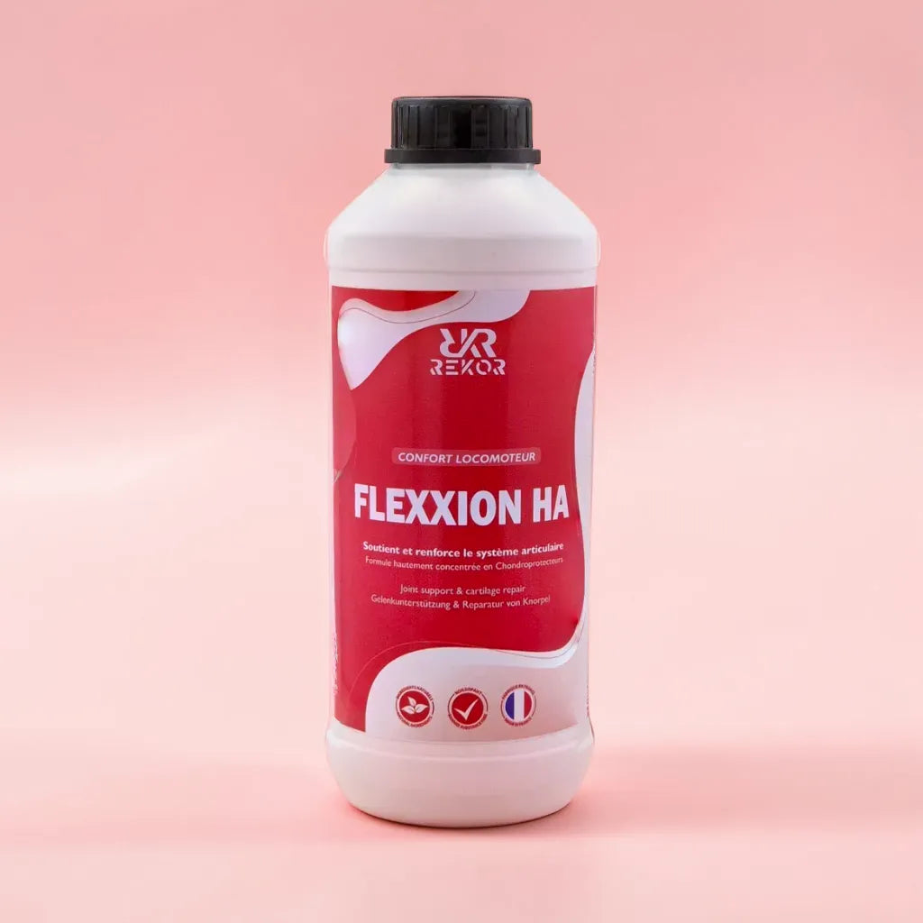 Flexxion Plus HA Rekor 1l