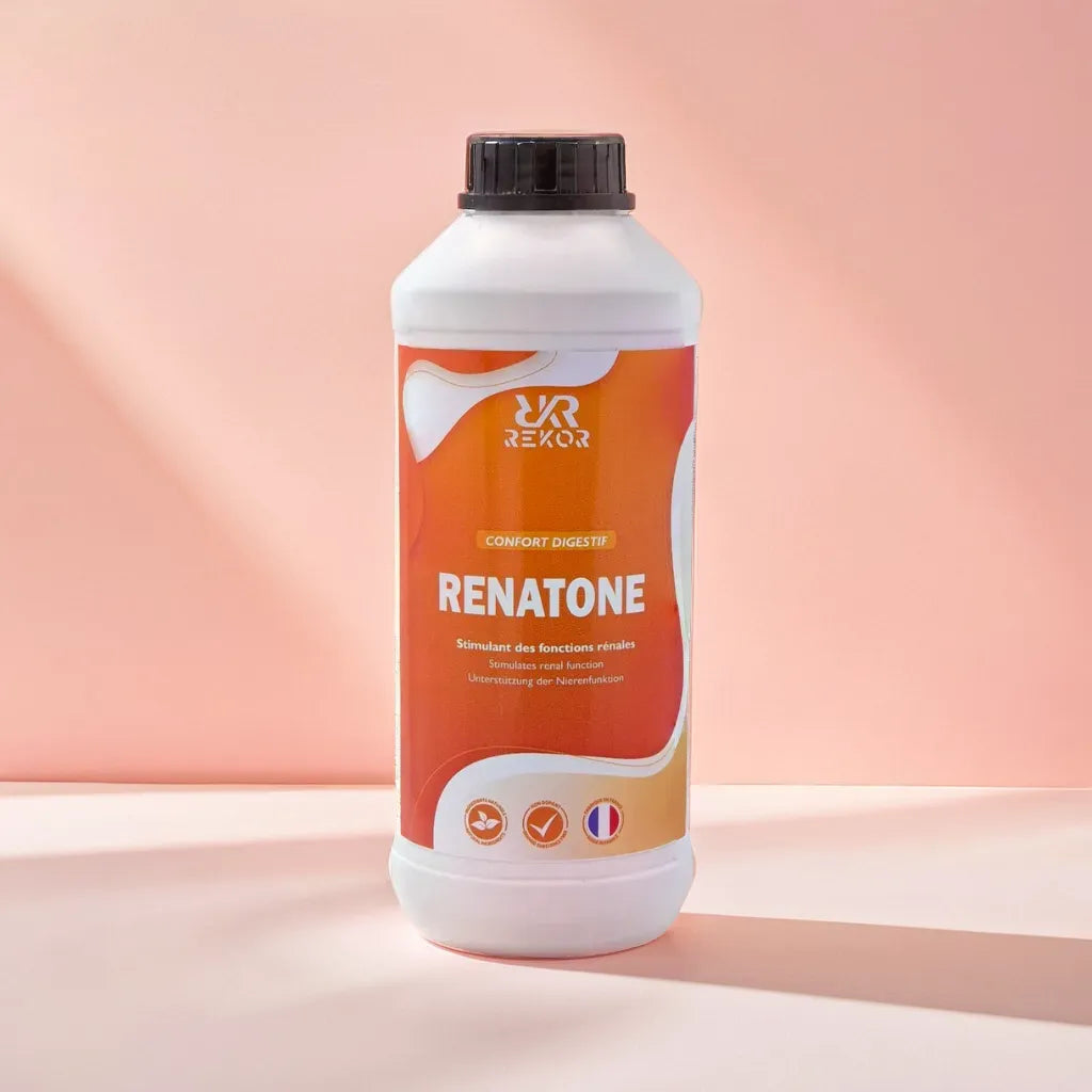 Renatone Rekor 1l