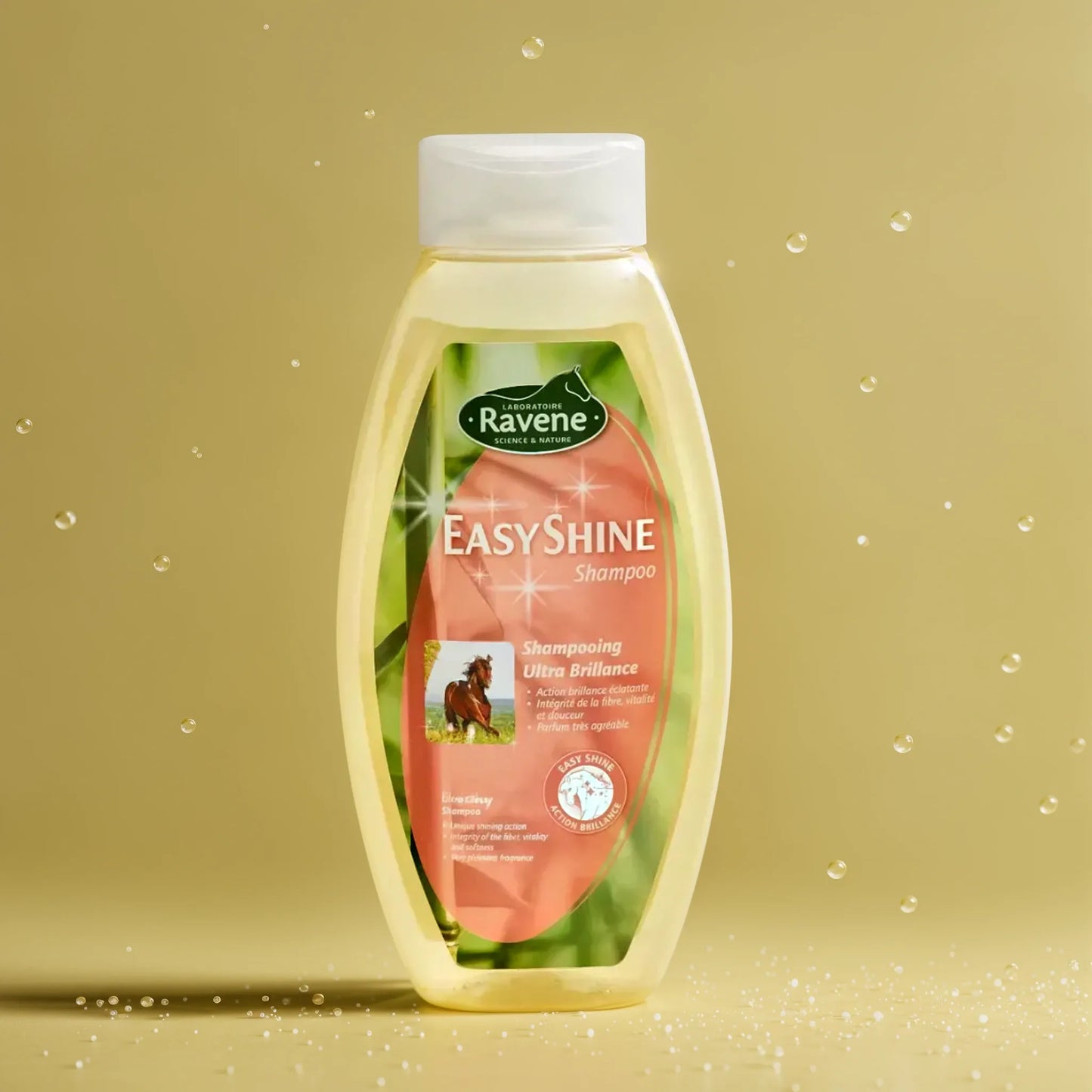 Easy Shine shampoo Ravène