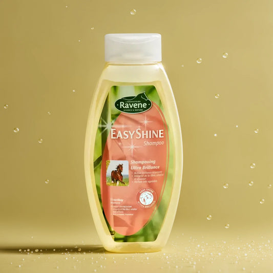 Easy Shine shampoo Ravène