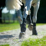 Guetres de travail Back On Track anterieurs