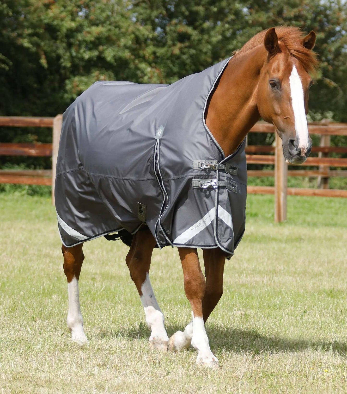 Buster Hardy 0g Half Neck Turnout Rug